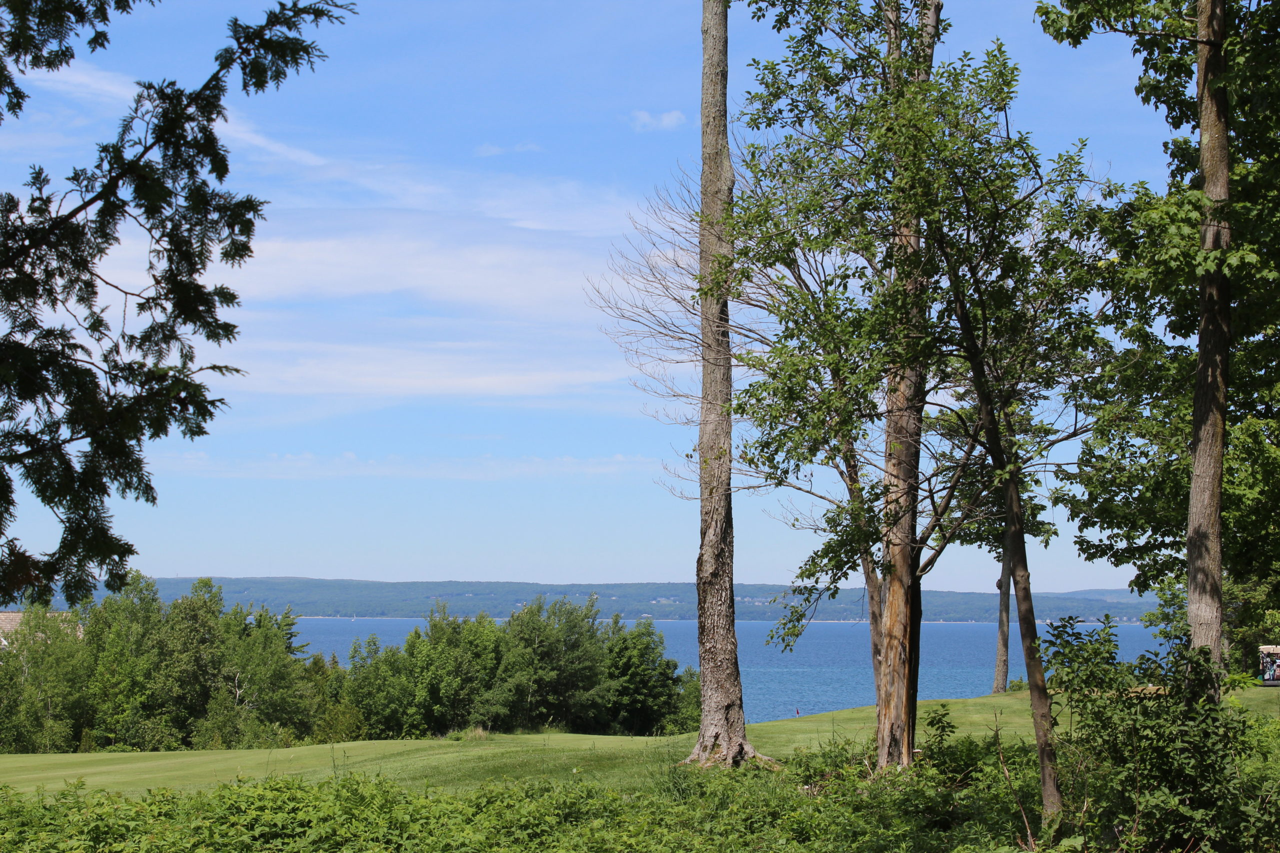 Golf Course Real Estate Northern Michigan