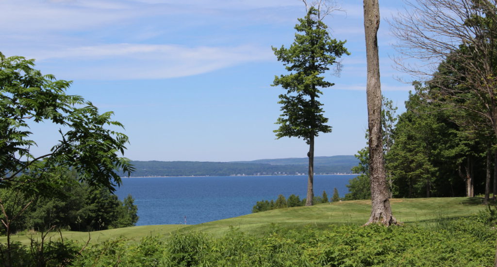Golf Course Real Estate Northern Michigan